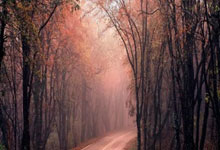 21点13分！伊万科维奇去留悬念揭晓，知情人士透露决定权不在足协.