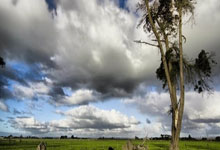 蓝鲸体育：[国足]唐天翼左脚兜射破门 中国队取得领先中国男足抵达巴林 备战世预赛18强赛.