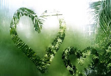 蓝鲸体育：[国内球]大凉山里的球课：球在脚下 梦在远方.